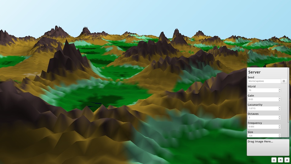 A generated heightmap being shown